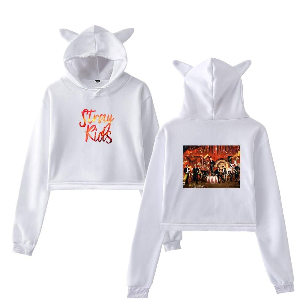 Kpop merch.
