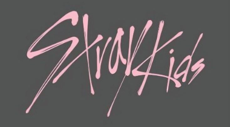 Stray Kids Merch
