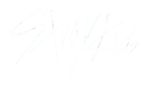 Stray Kids Merch