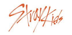 Stray Kids Merch